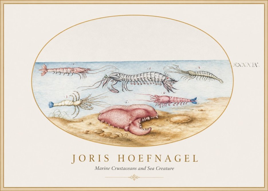 Joris Hoefnagel Marine Crustaceans and Sea Creature No1 - Poster