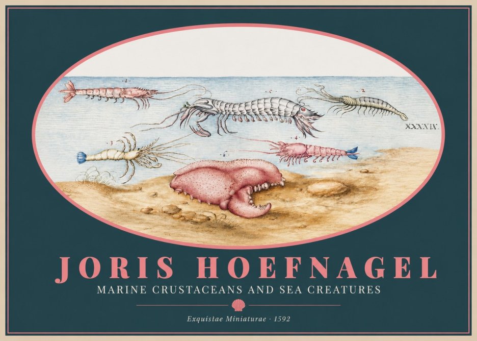Joris Hoefnagel Marine Crustaceans and Sea Creature No2 - Poster