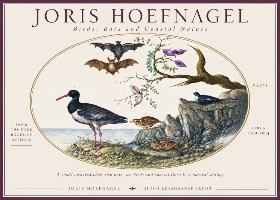 Joris Hoefnagel Birds, Bats and Coastal Nature No6 - Poster
