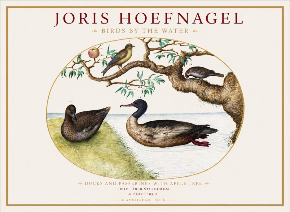 Joris Hoefnagel Ducks and Passerines with Apple Tree No1 - Poster
