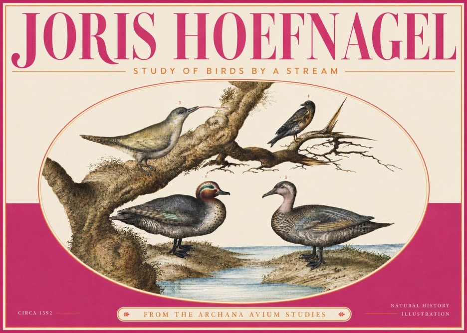 Joris Hoefnagel Study of Birds by a Stream No4 - Poster
