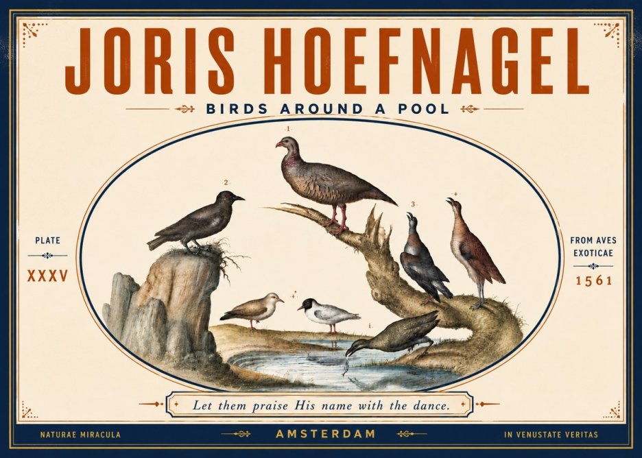 Joris Hoefnagel Birds Around a Pool No5 - Poster