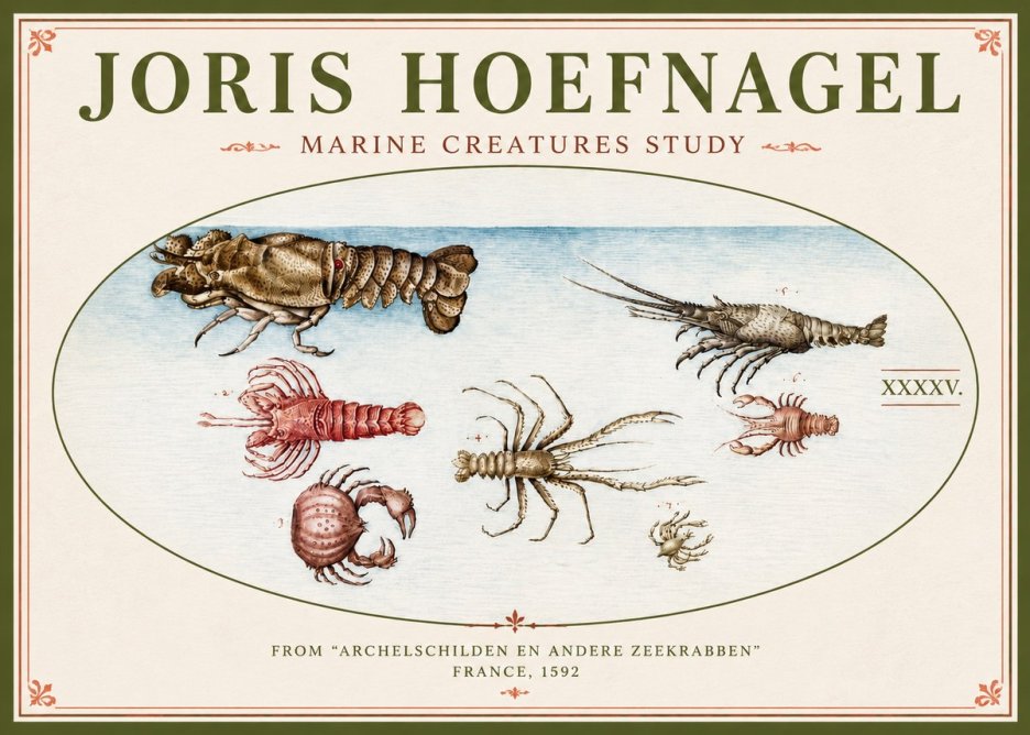 Joris Hoefnagel Studies of Crustaceans No5 - Poster
