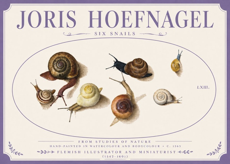 Joris Hoefnagel Six Snails No3 - Poster