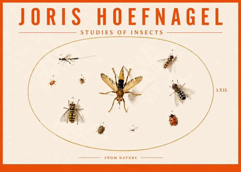 Joris Hoefnagel Studies of Insects IV No3 - Poster