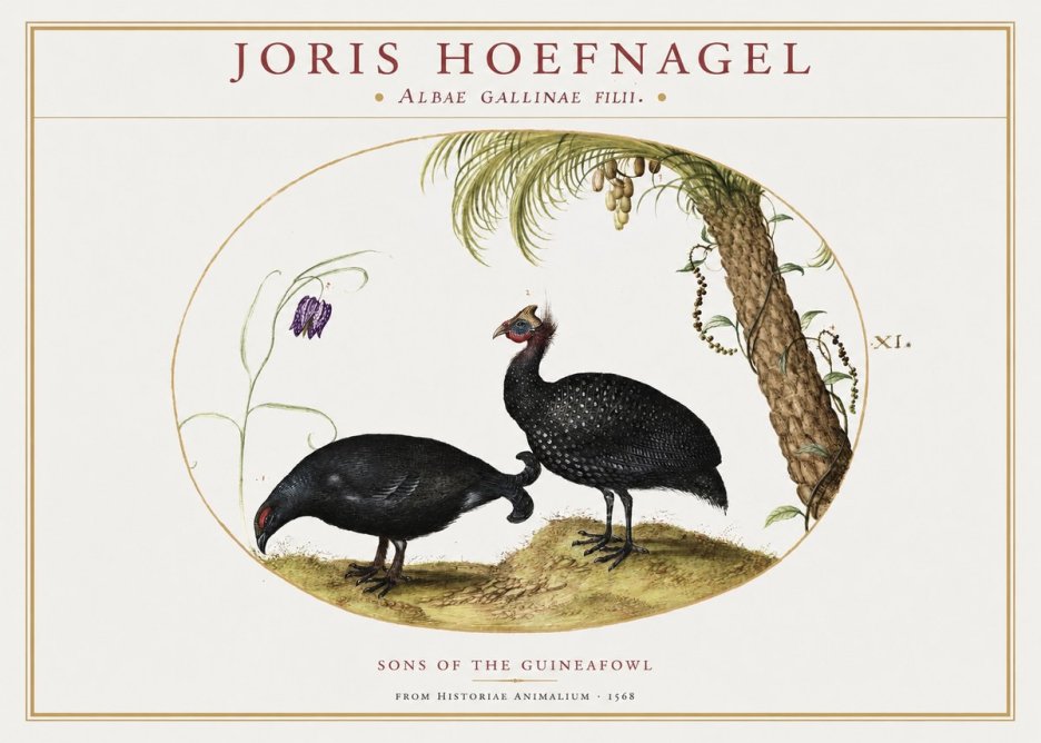 Joris Hoefnagel Albae Gallinae Filii. No2 - Poster