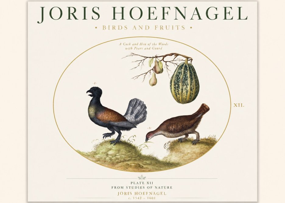 Joris Hoefnagel A Cock and Hen of the Woods with Pears and Gourd No1 - Poster