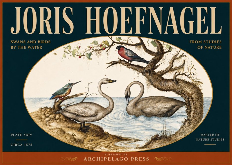 Joris Hoefnagel Swans and Birds by the Water No5 - Poster