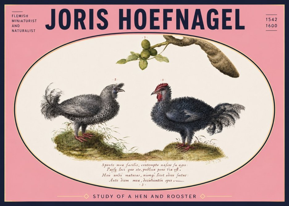 Joris Hoefnagel Study of a Hen and Rooster No5 - Poster