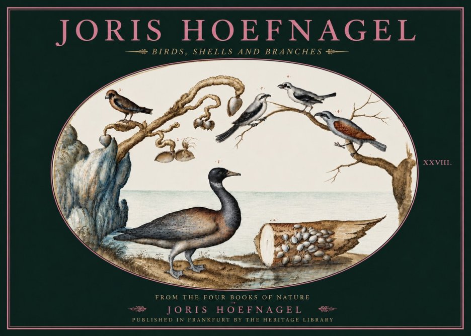 Joris Hoefnagel Birds, Shells and Branches No4 - Poster