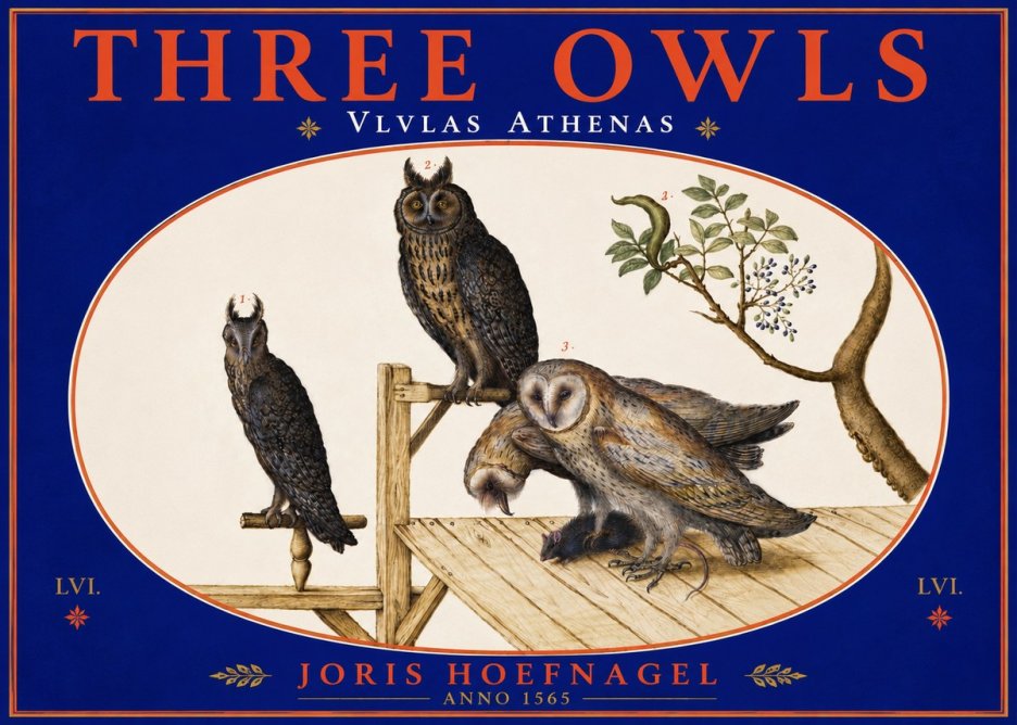 Joris Hoefnagel Vlvlas Athenas No5 - Poster