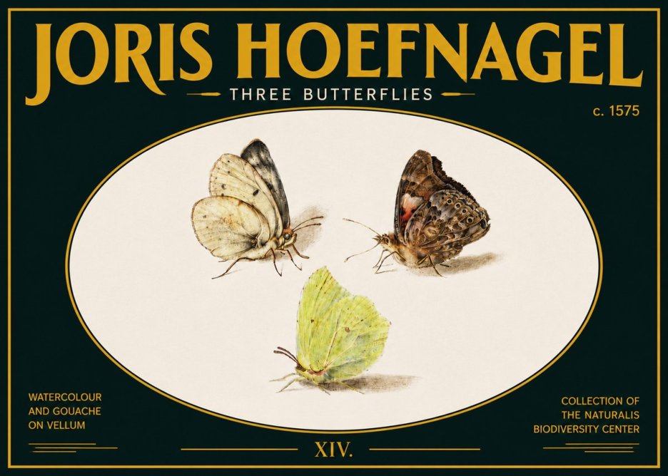 Joris Hoefnagel Three Butterflies II No5 - Poster