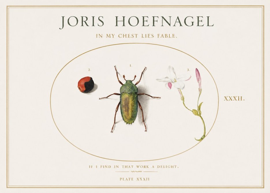 Joris Hoefnagel In My Chest Lies Fable No1 - Poster