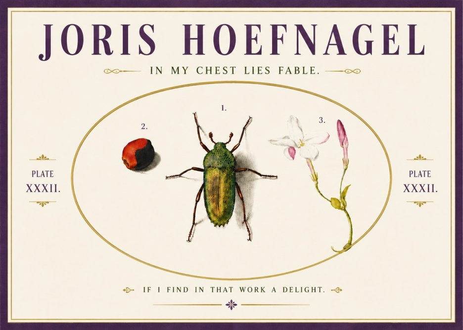 Joris Hoefnagel In My Chest Lies Fable No6 - Poster