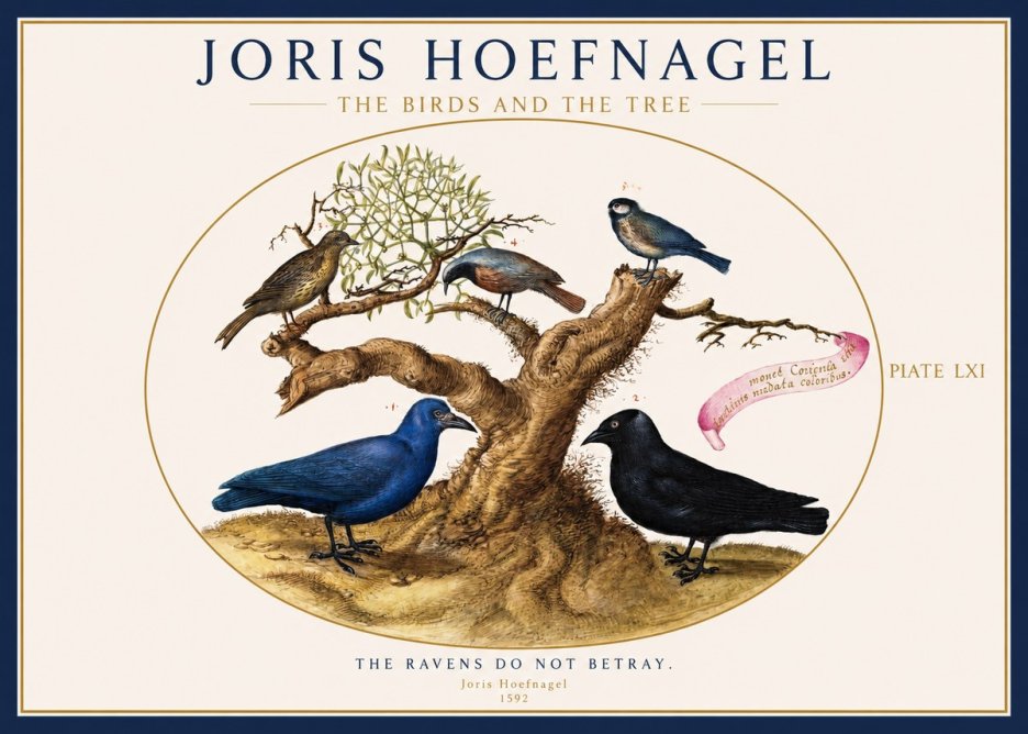 Joris Hoefnagel The Birds and the Tree No1 - Poster
