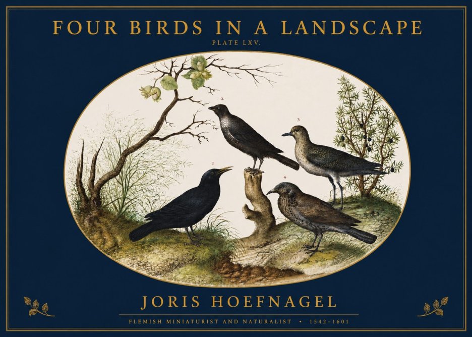 Joris Hoefnagel Four Birds in a Landscape No2 - Poster
