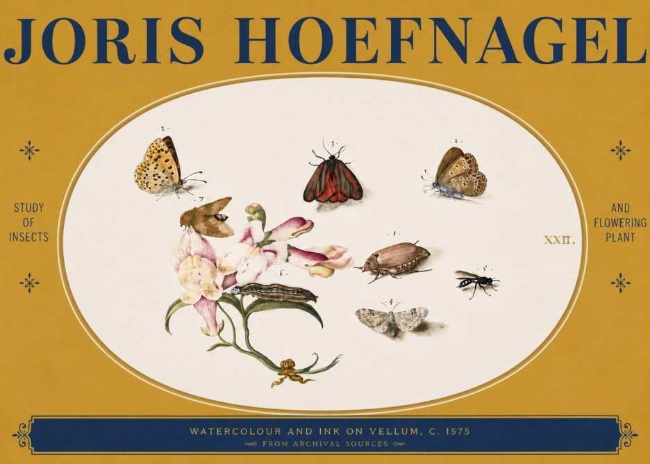 Joris Hoefnagel Study of Insects and Flowering Plant No3 - Poster