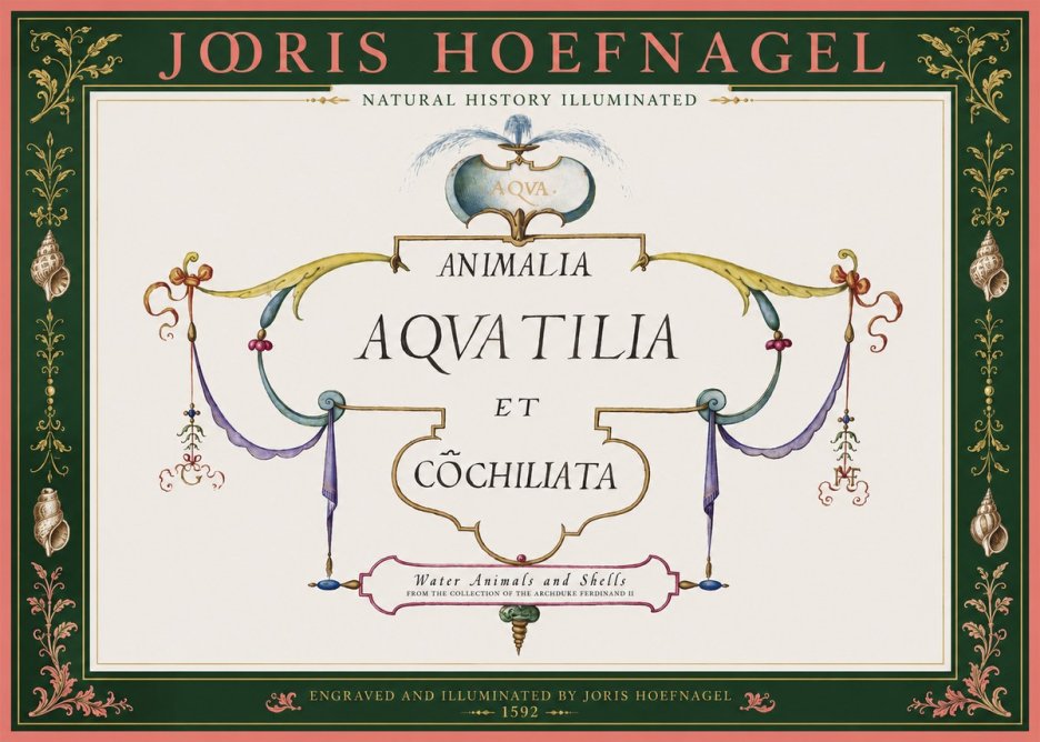 Joris Hoefnagel Animalia Aquatilia Et Cochiliata No2 - Poster