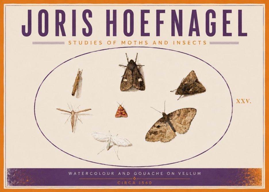 Joris Hoefnagel Studies of Moths and Insects - Xxv. No5 - Poster