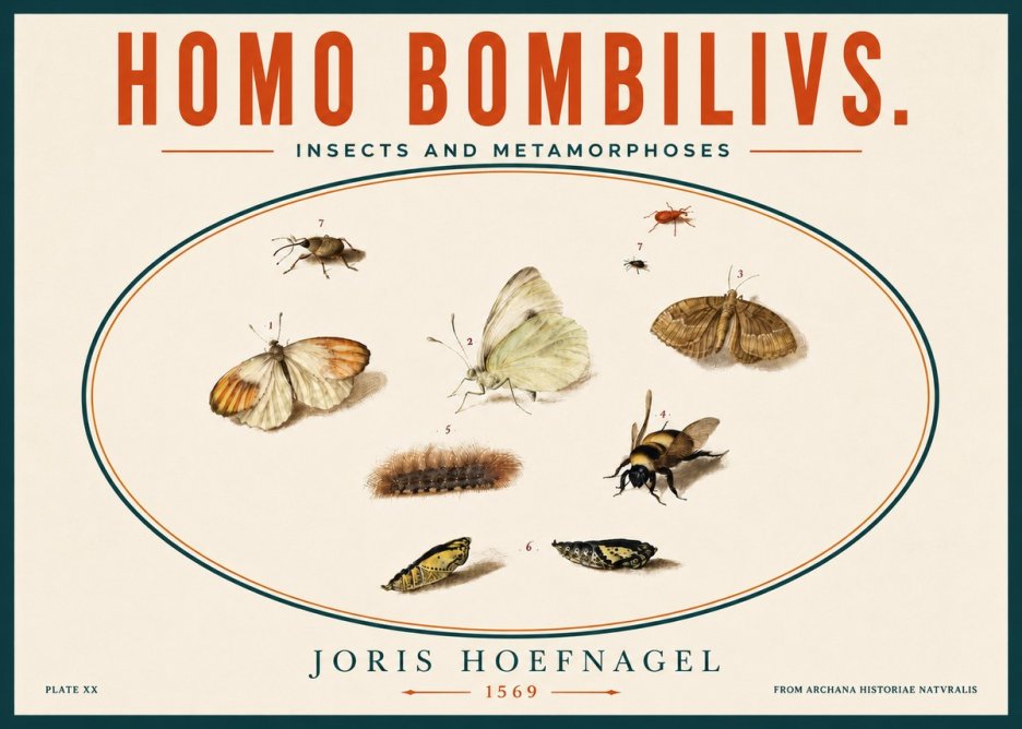 Joris Hoefnagel Homo Bombilivs. Insecta Et Metamorphoses No5 - Poster