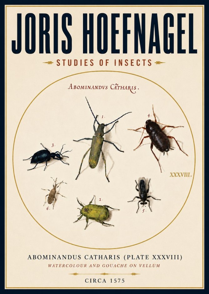 Joris Hoefnagel Abominandus Catharis (Plate Xxxviii) No4 - Poster