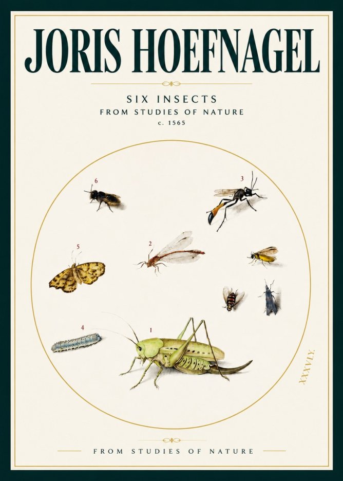 Joris Hoefnagel Six Insects from Studies of Nature C. 1565 No2 - Poster