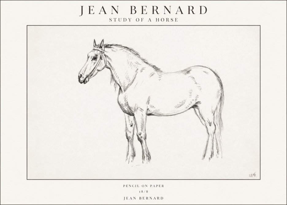 Jean Bernard Study of a Horse XVII No1 - Poster