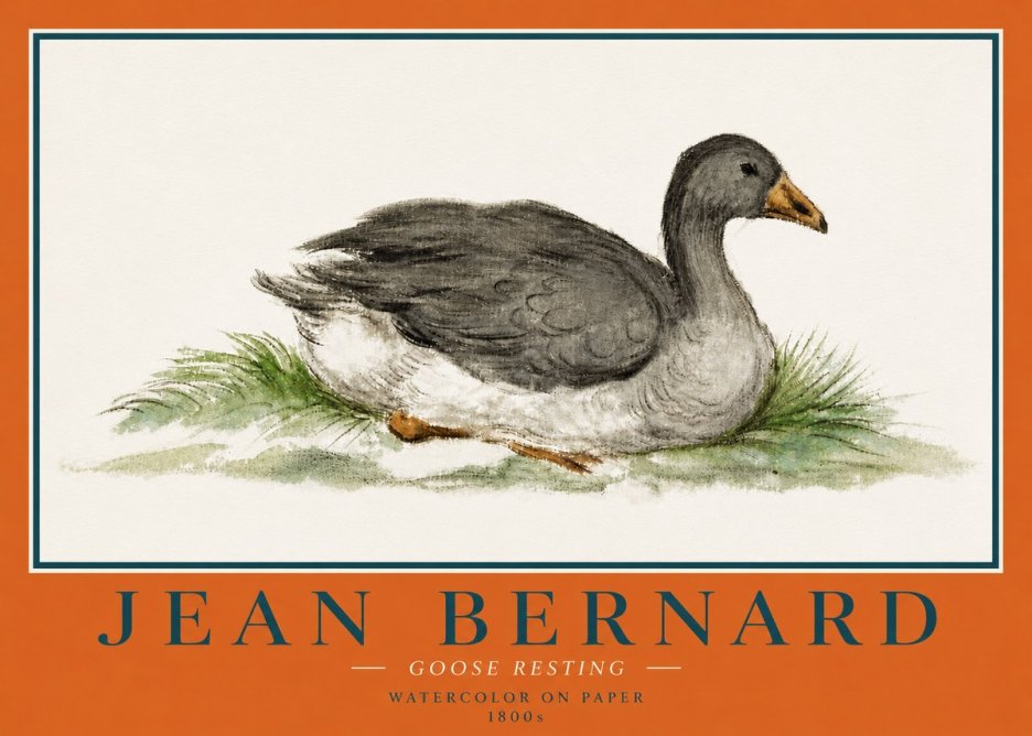 Jean Bernard Goose Resting No4 - Poster