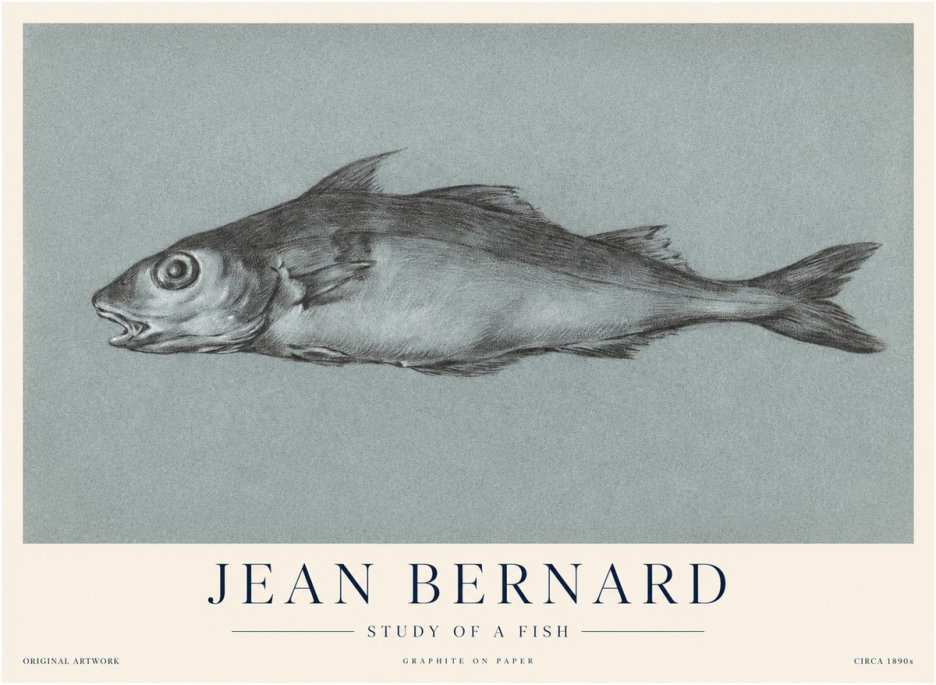 Jean Bernard Fish Study I No4 - Poster