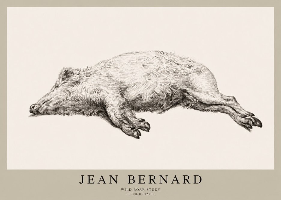 Jean Bernard Wild Boar Study No1 - Poster