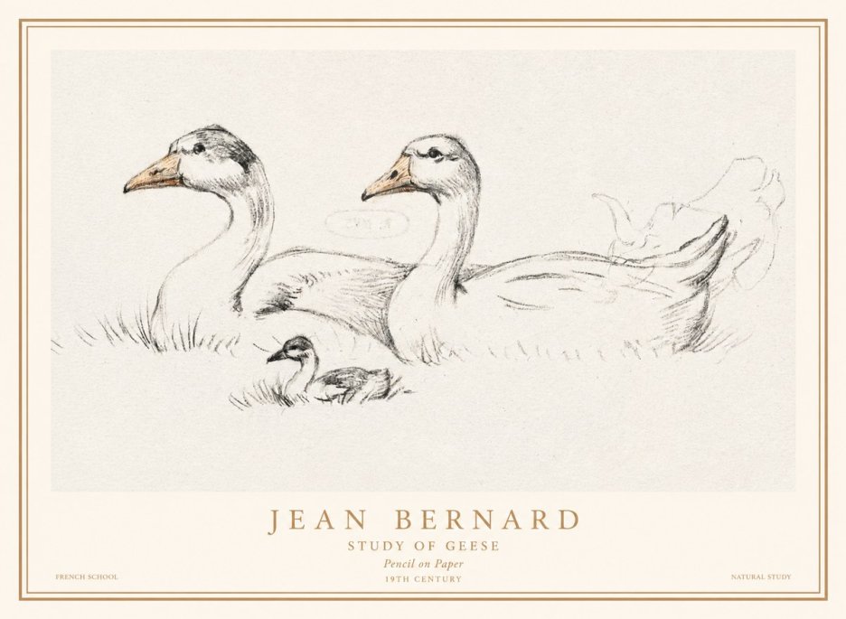 Jean Bernard Study of Geese No1 - Poster