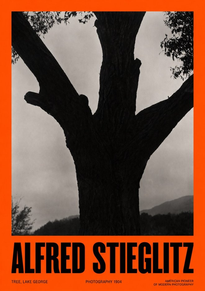 Alfred Stieglitz Tree - Lake George, 1921 No6 - Poster