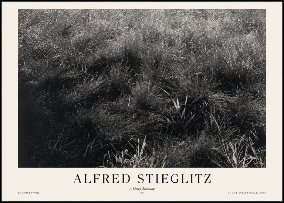Alfred Stieglitz A Dewy Morning No1 - Poster