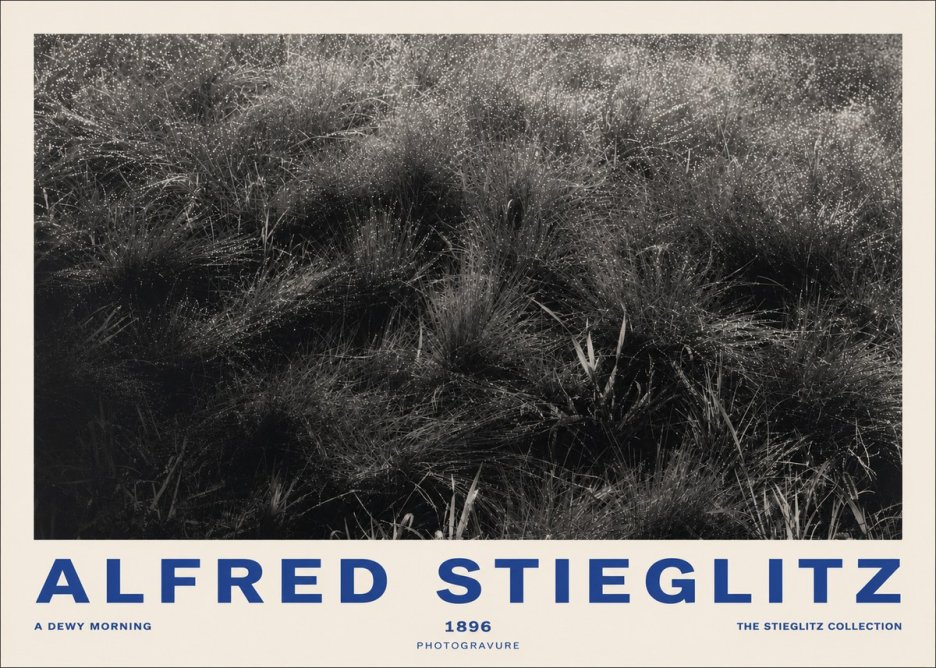 Alfred Stieglitz A Dewy Morning No2 - Poster