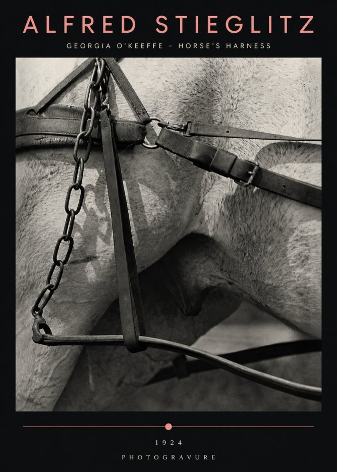 Alfred Stieglitz The Steerage I No5 - Poster