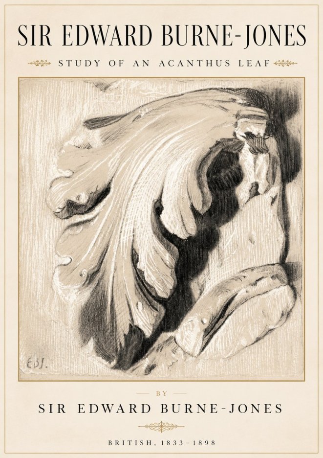 Edward Burne-Jones Study of an Acanthus Leaf No2 - Poster
