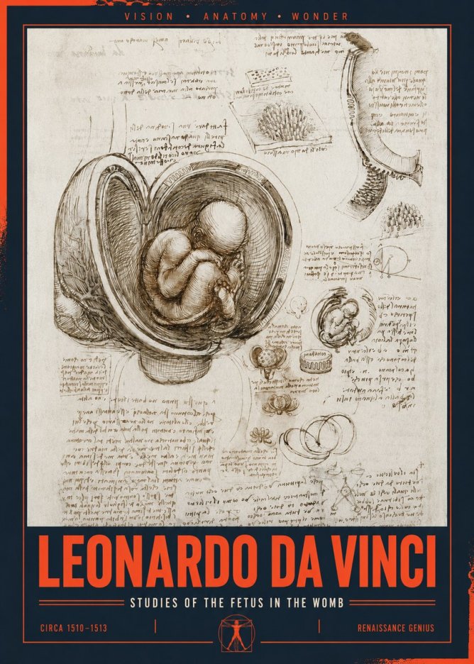 Leonardo da Vinci Studies of the Fetus in the Womb No2 - Poster
