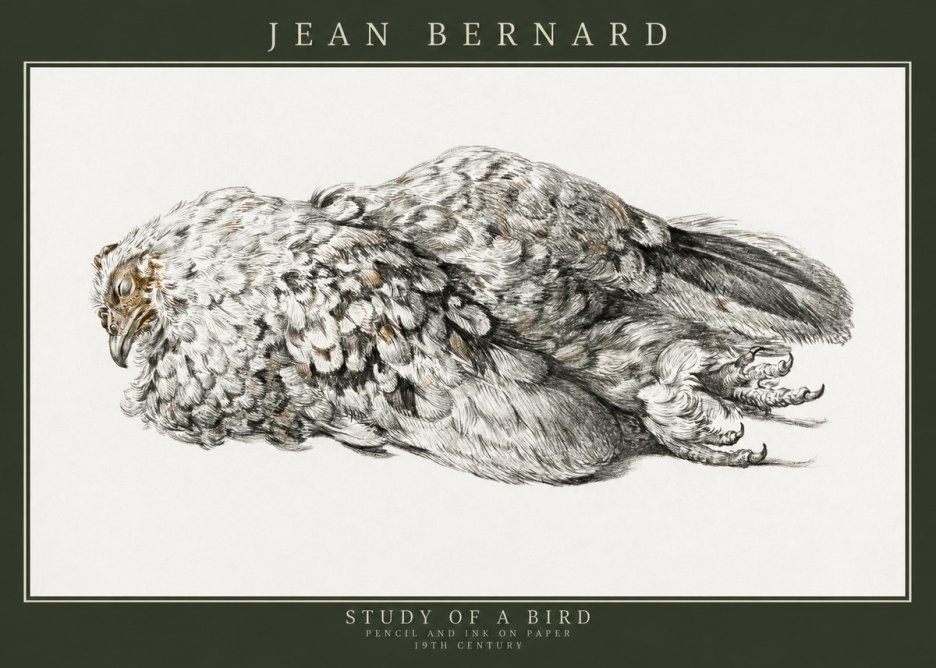 Jean Bernard Study of a Bird I No3 - Poster