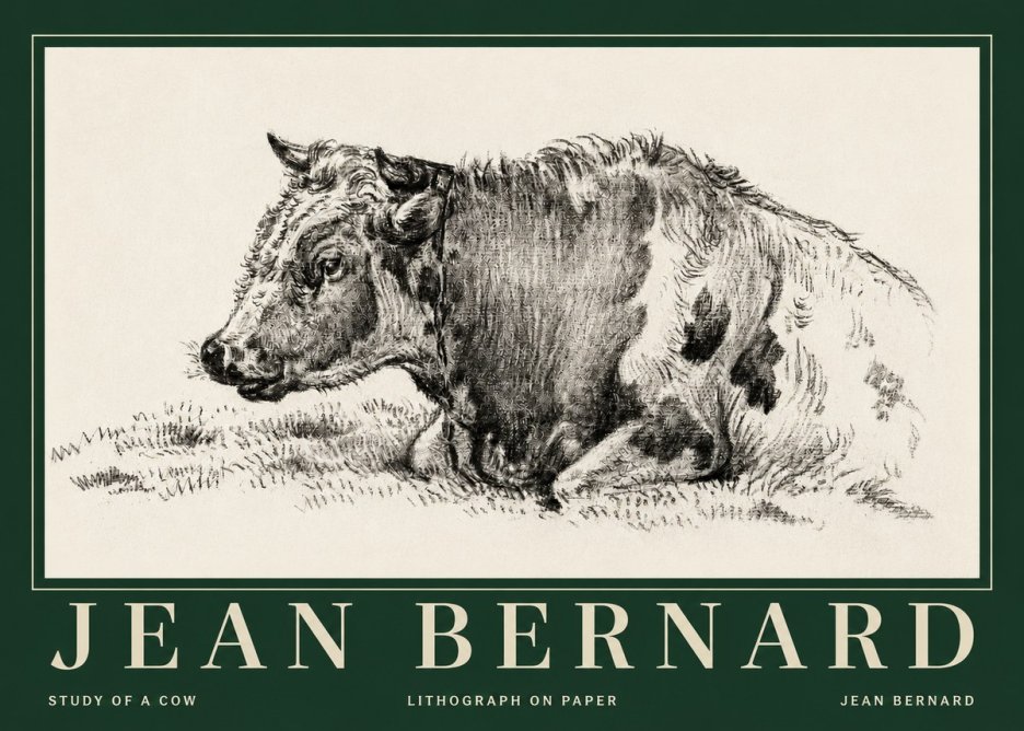 Jean Bernard Resting Cow I No5 - Poster