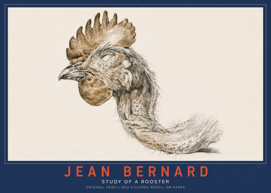 Jean Bernard Study of a Rooster Head No3 - Poster