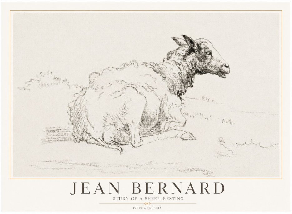 Jean Bernard Sheep Resting No5 - Poster