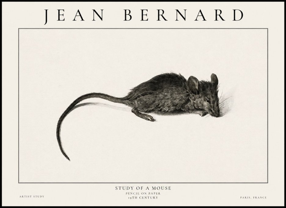 Jean Bernard Study of a Mouse I No6 - Poster