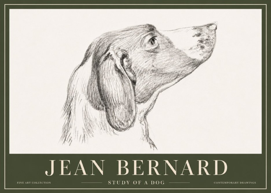 Jean Bernard Study of a Dog I No5 - Poster