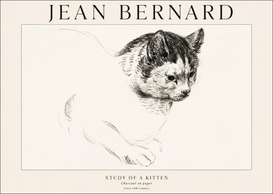 Jean Bernard Study of a Kitten I No1 - Poster