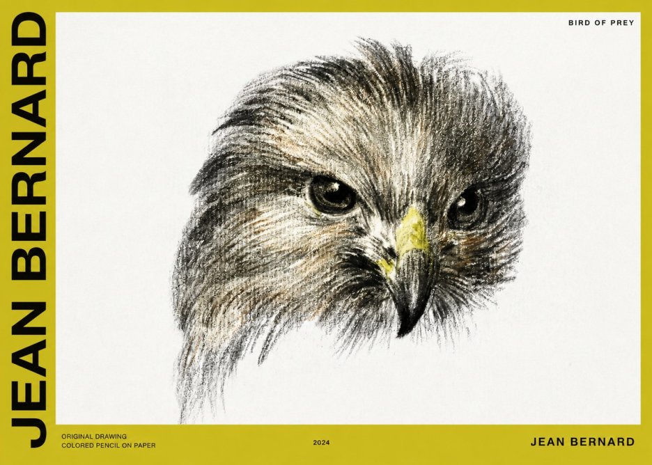 Jean Bernard Bird of Prey No2 - Poster