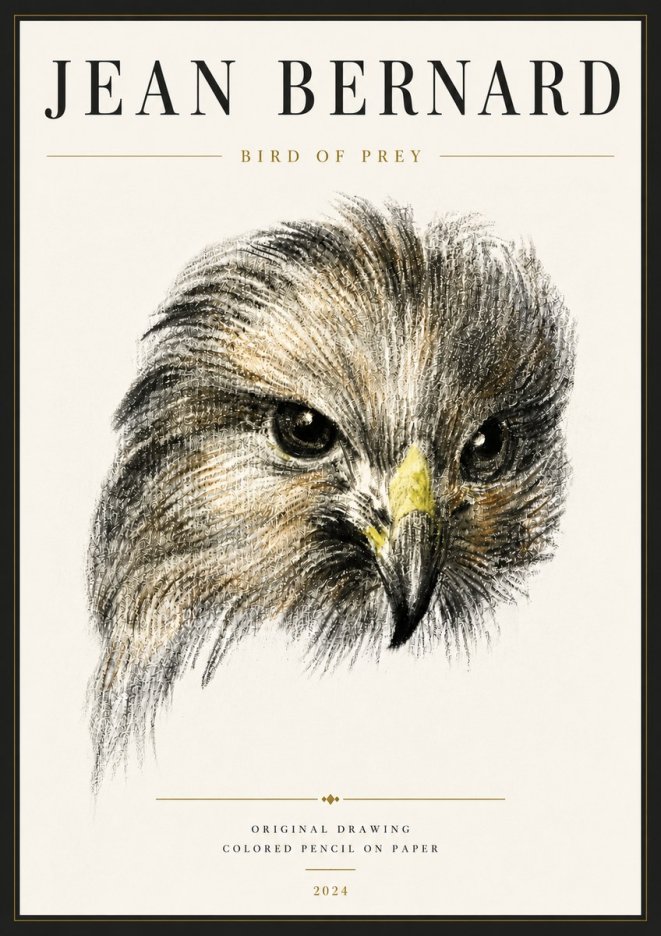 Jean Bernard Bird of Prey No6 - Poster