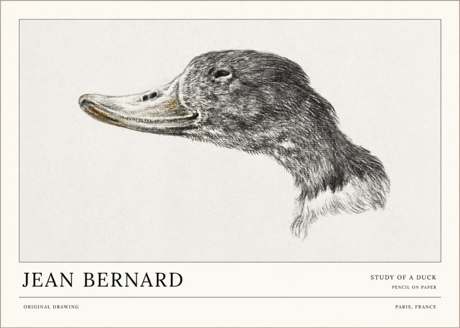 Jean Bernard Study of a Duck No1 - Poster