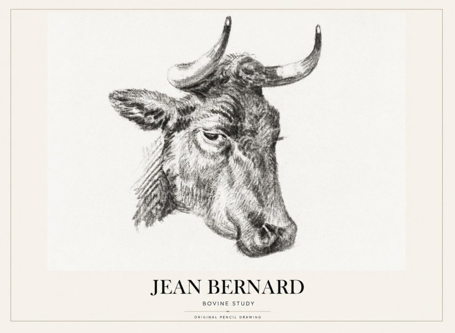 Jean Bernard Bovine Study I No1 - Poster