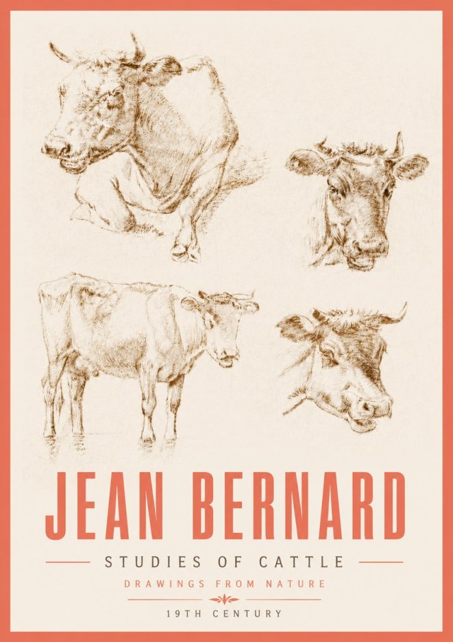 Jean Bernard Studies of Cattle II No5 - Poster