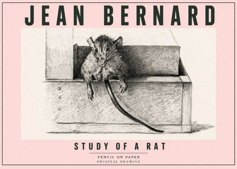 Jean Bernard Study of a Rat I No5 - Poster